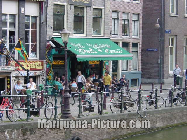 Catholic Youth Amsterdam Ny Channels Amsterdam Review Dutch Flowers