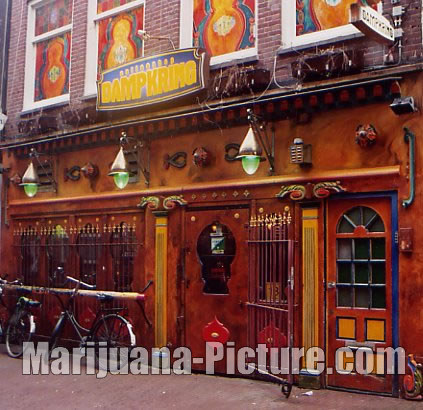  Amsterdam Coffee Shops on Amsterdam Coffee Shops   Dampkring Coffee Shop Jpg