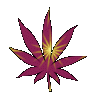 purple cannabis leaf