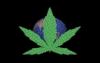 spinning marijuana leaf