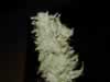 crystal cannabis bud