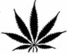 marijuana clip art