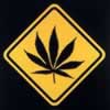 marijuana leaf road sign