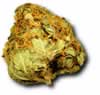 golden bud